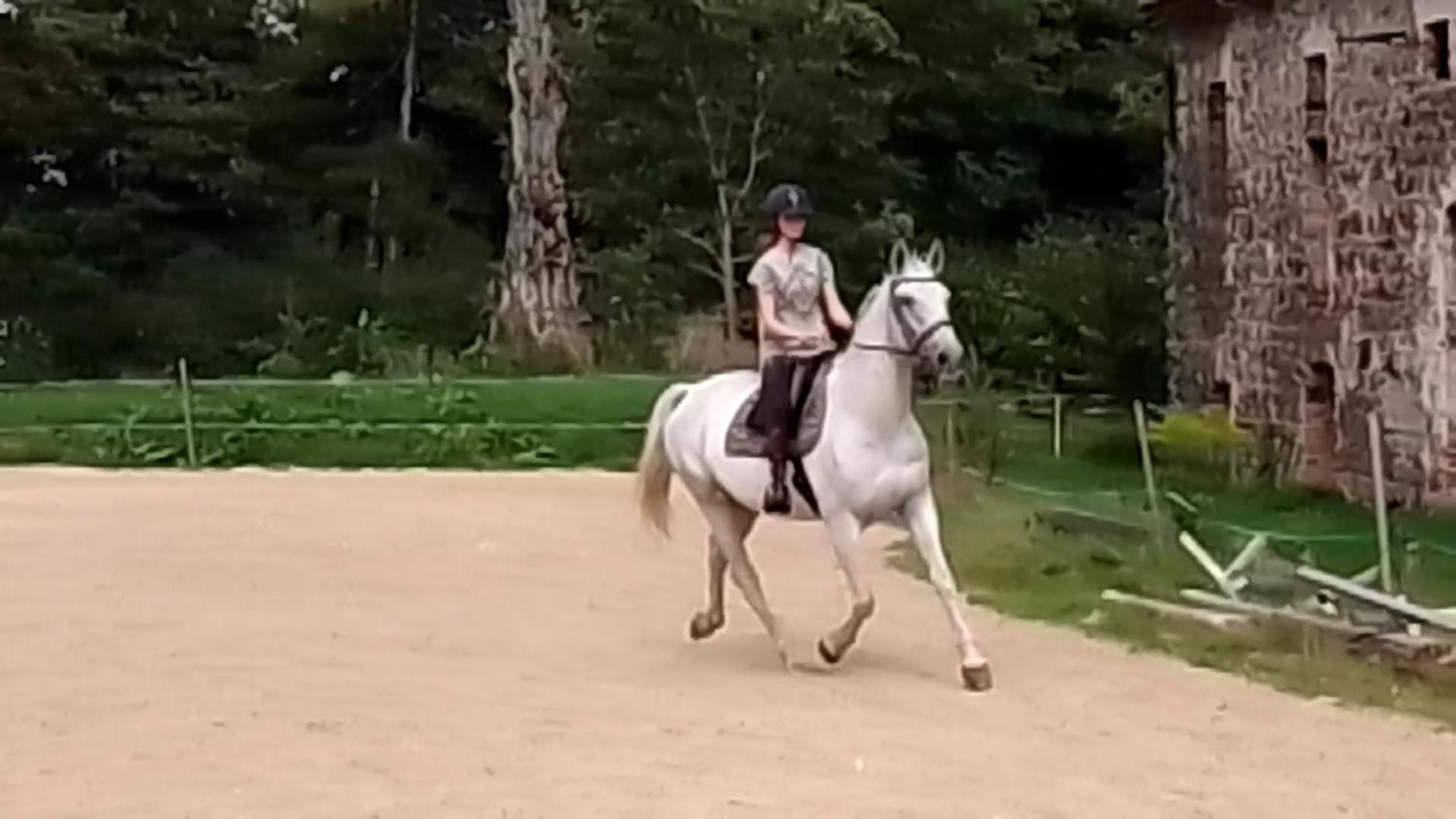 Agroturismo Country Estate