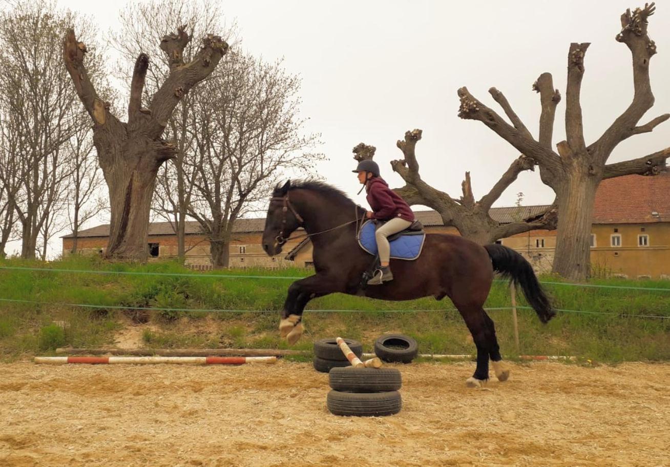 Country Estate Farm stay *