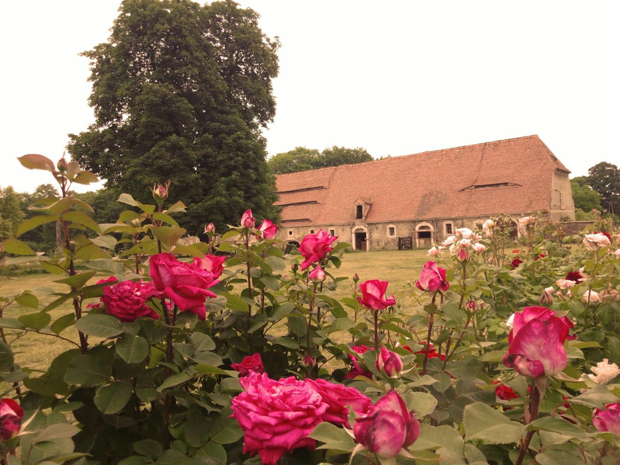 Farm stay Country Estate Studniska
