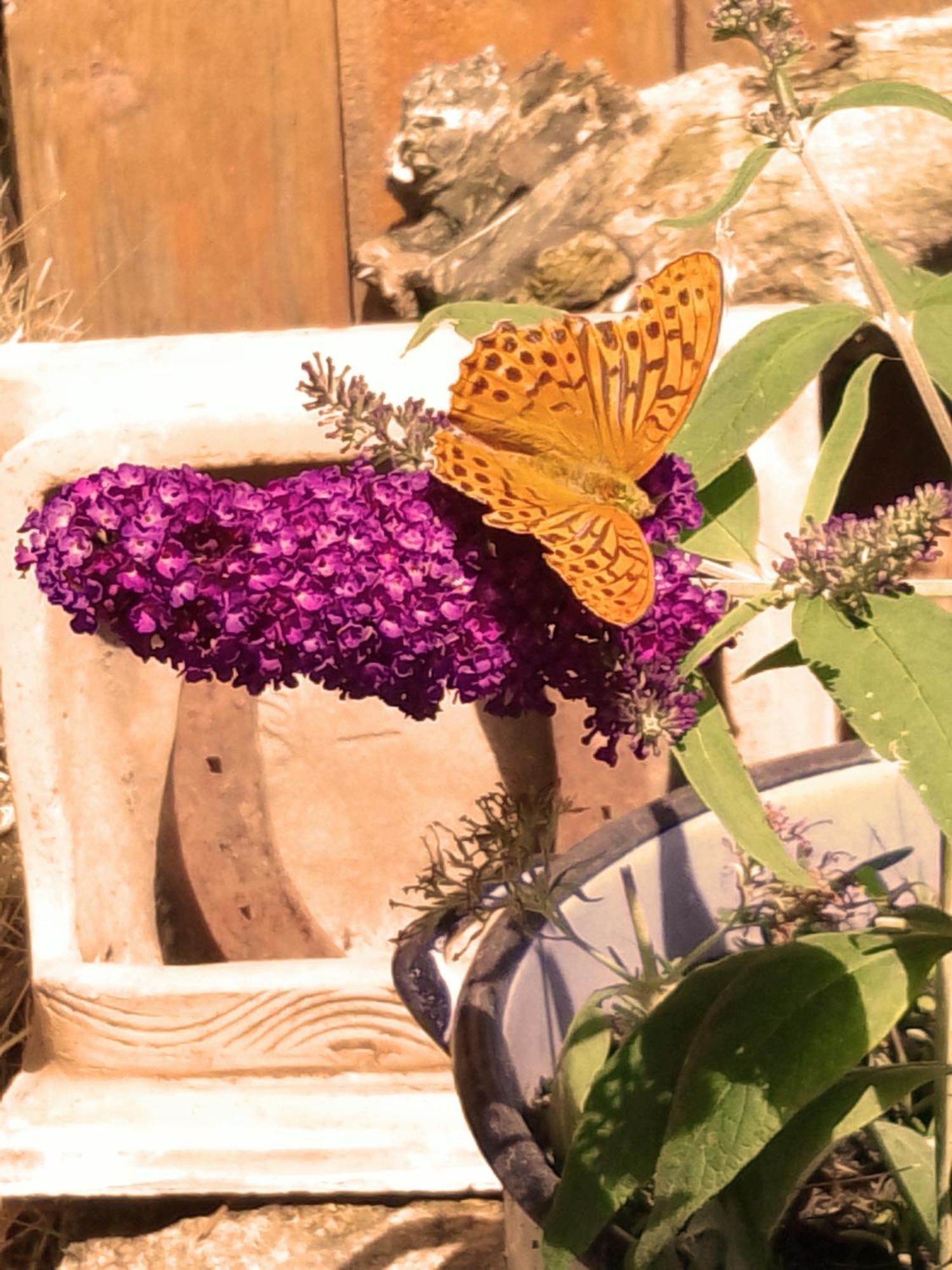 Agroturismo Country Estate Studniska