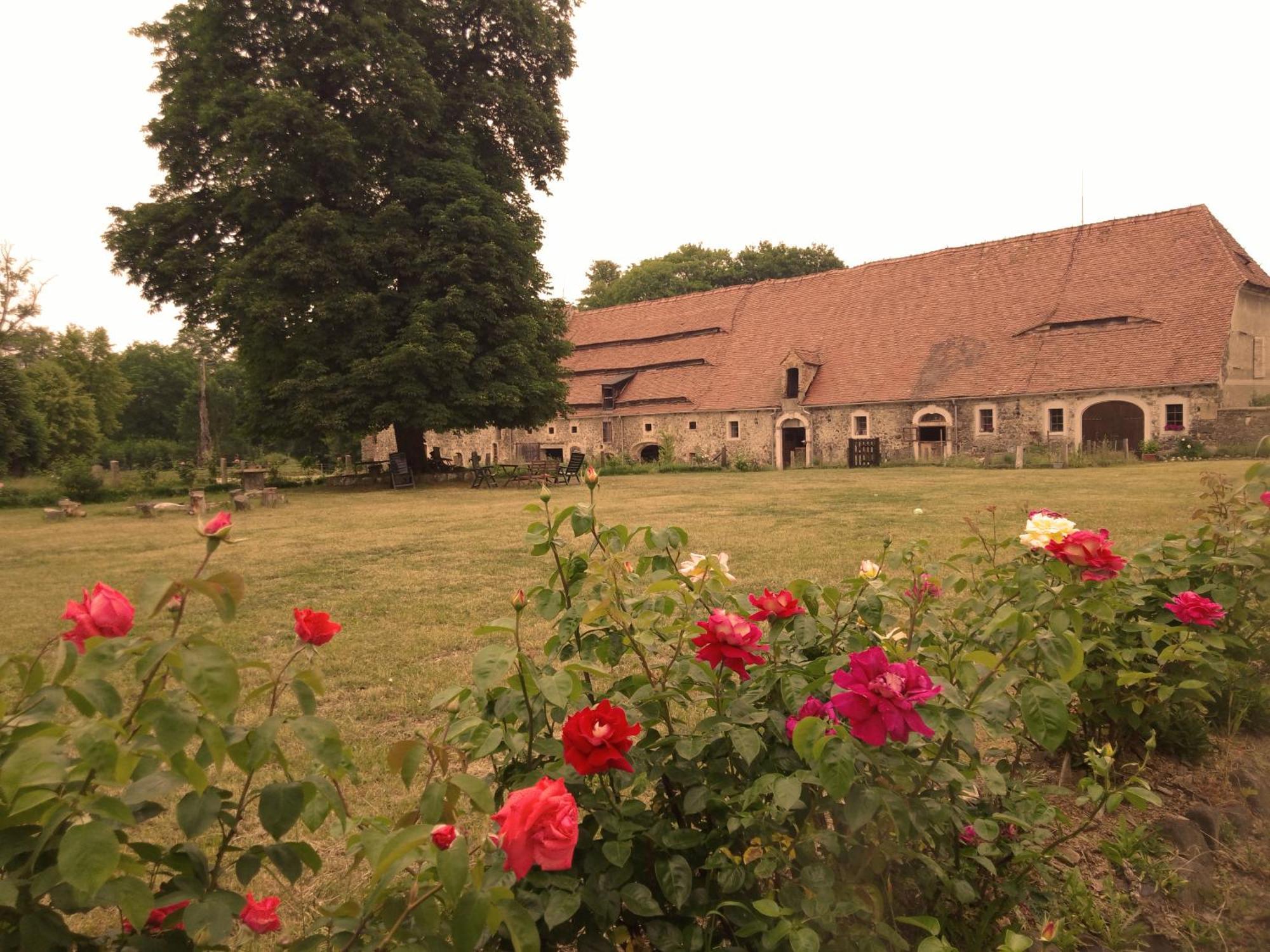 Country Estate Farm stay Studniska