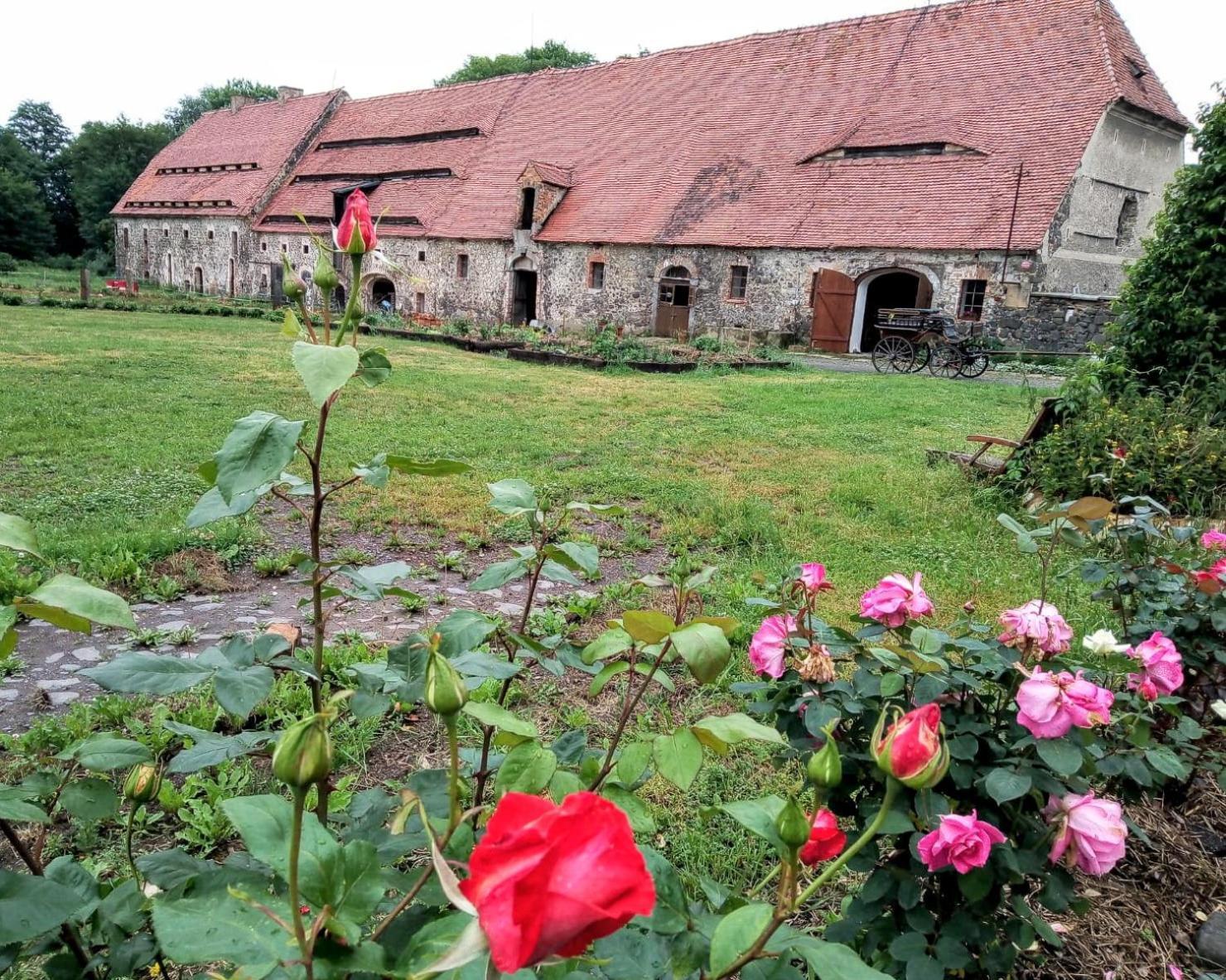 Country Estate Studniska