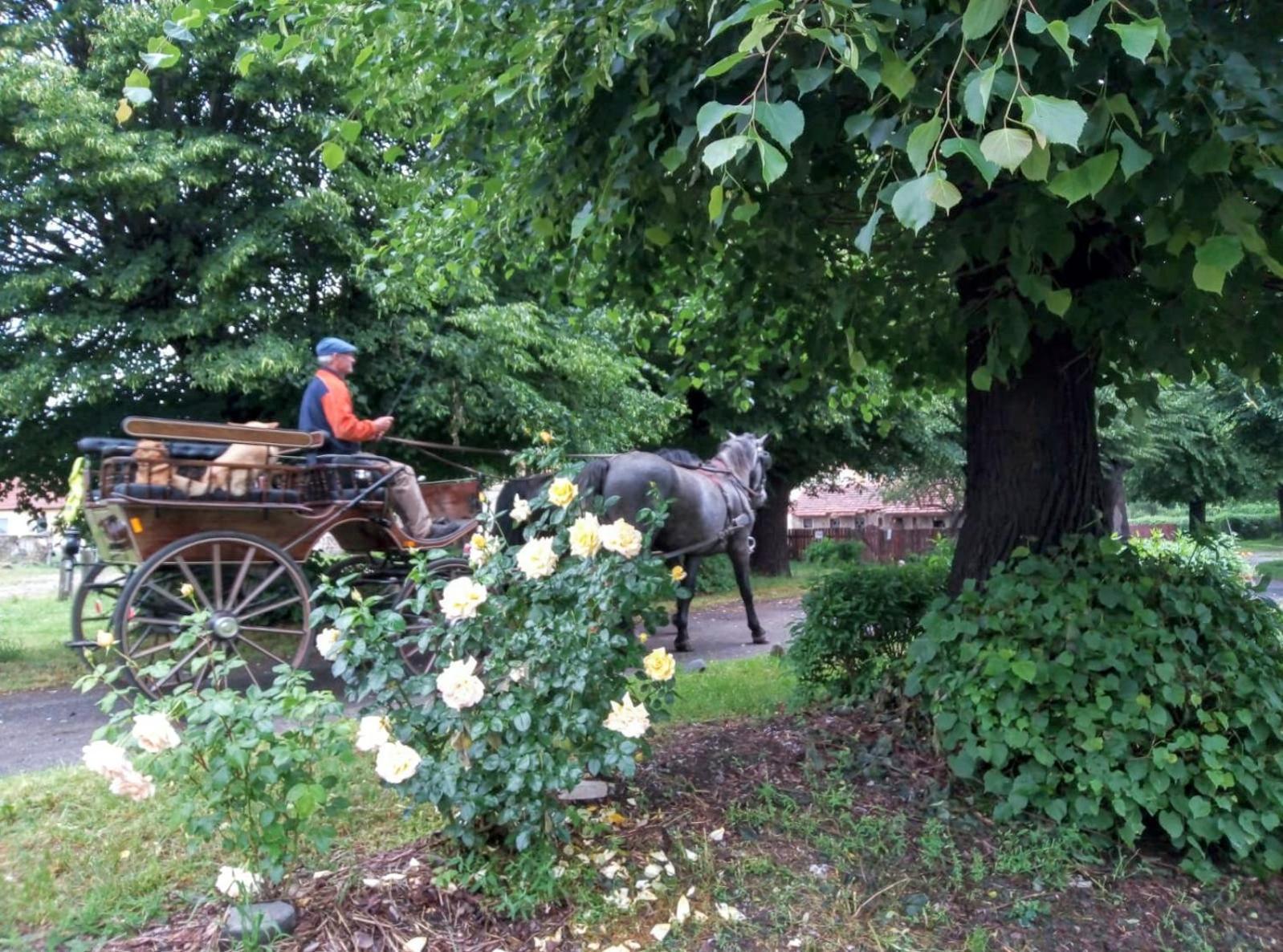 Country Estate Studniska