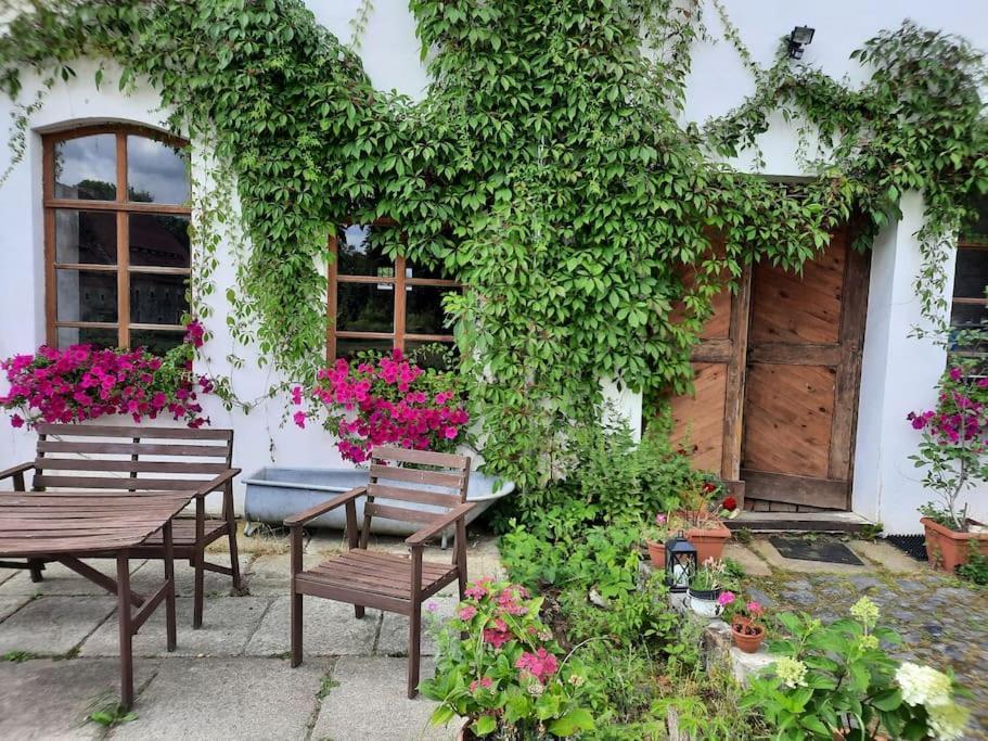 Farm stay Country Estate *