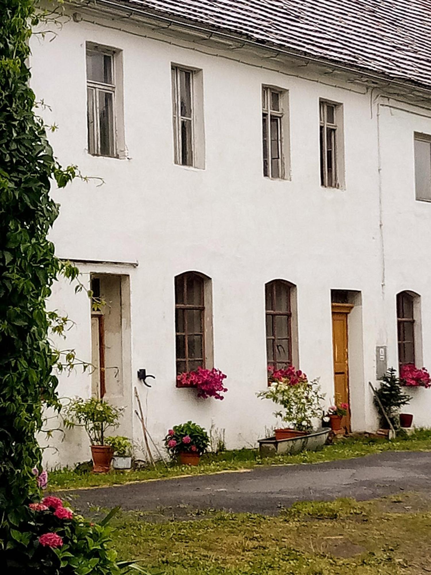 Country Estate Farm stay *