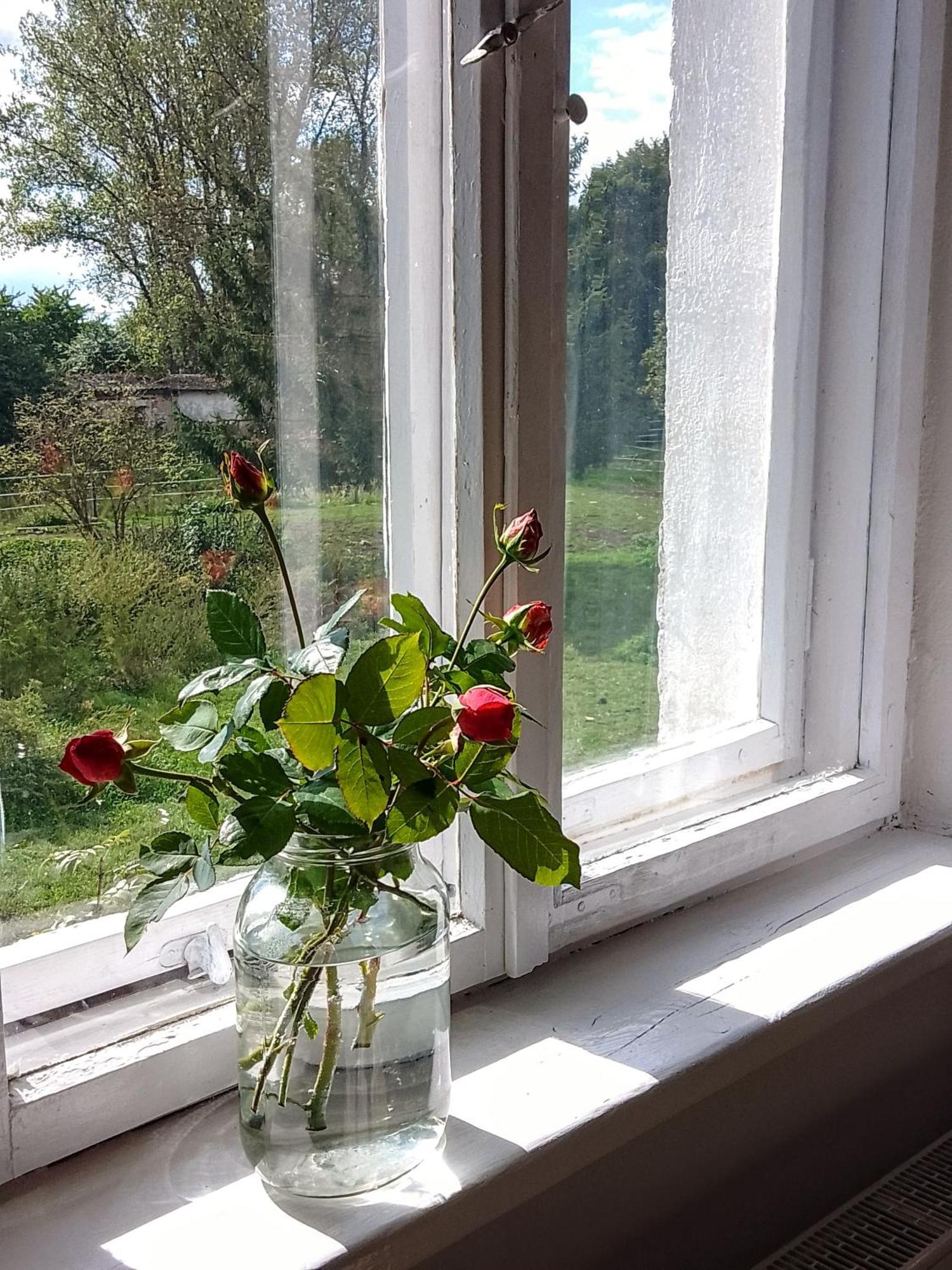 Country Estate Farm stay *