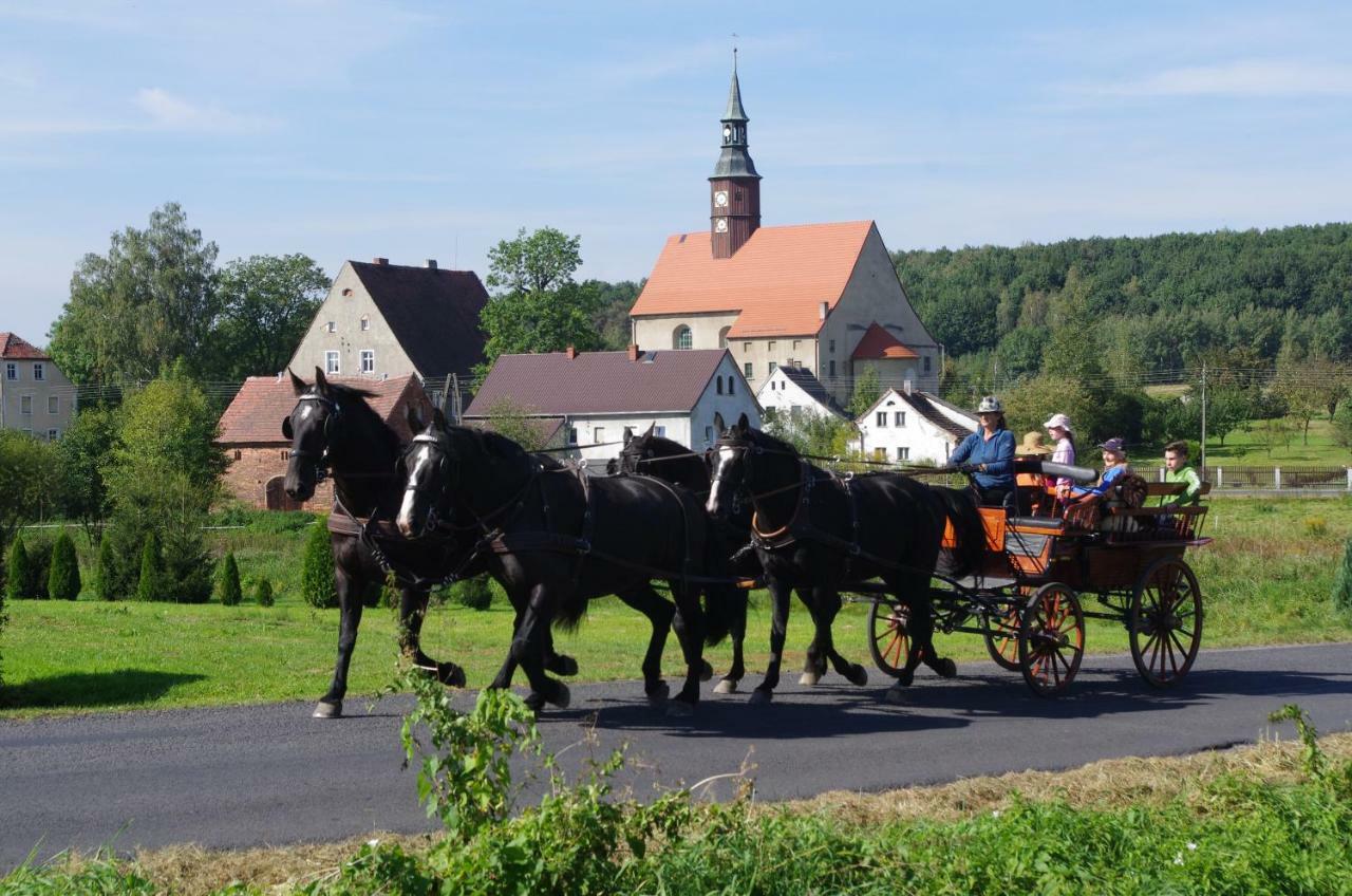 Country Estate Farm stay