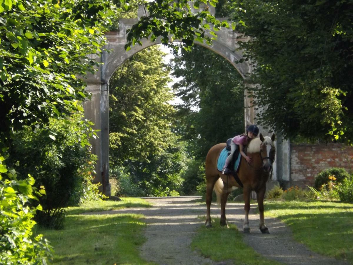 Farm stay Country Estate Studniska