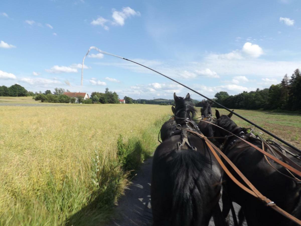 Country Estate Studniska