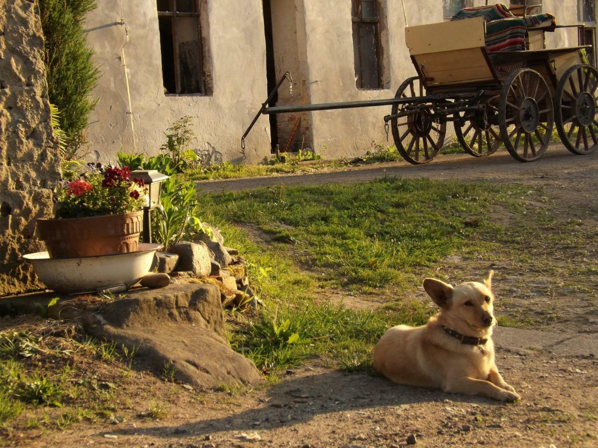 Farm stay Country Estate *