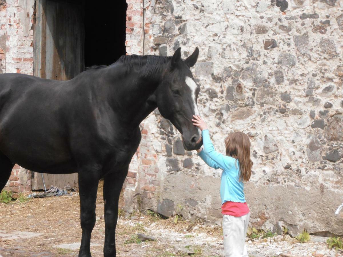 Country Estate * Studniska