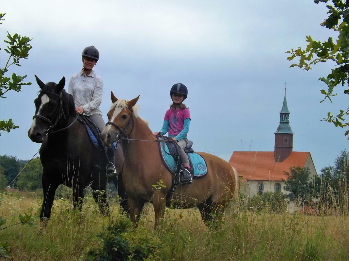 Country Estate Studniska