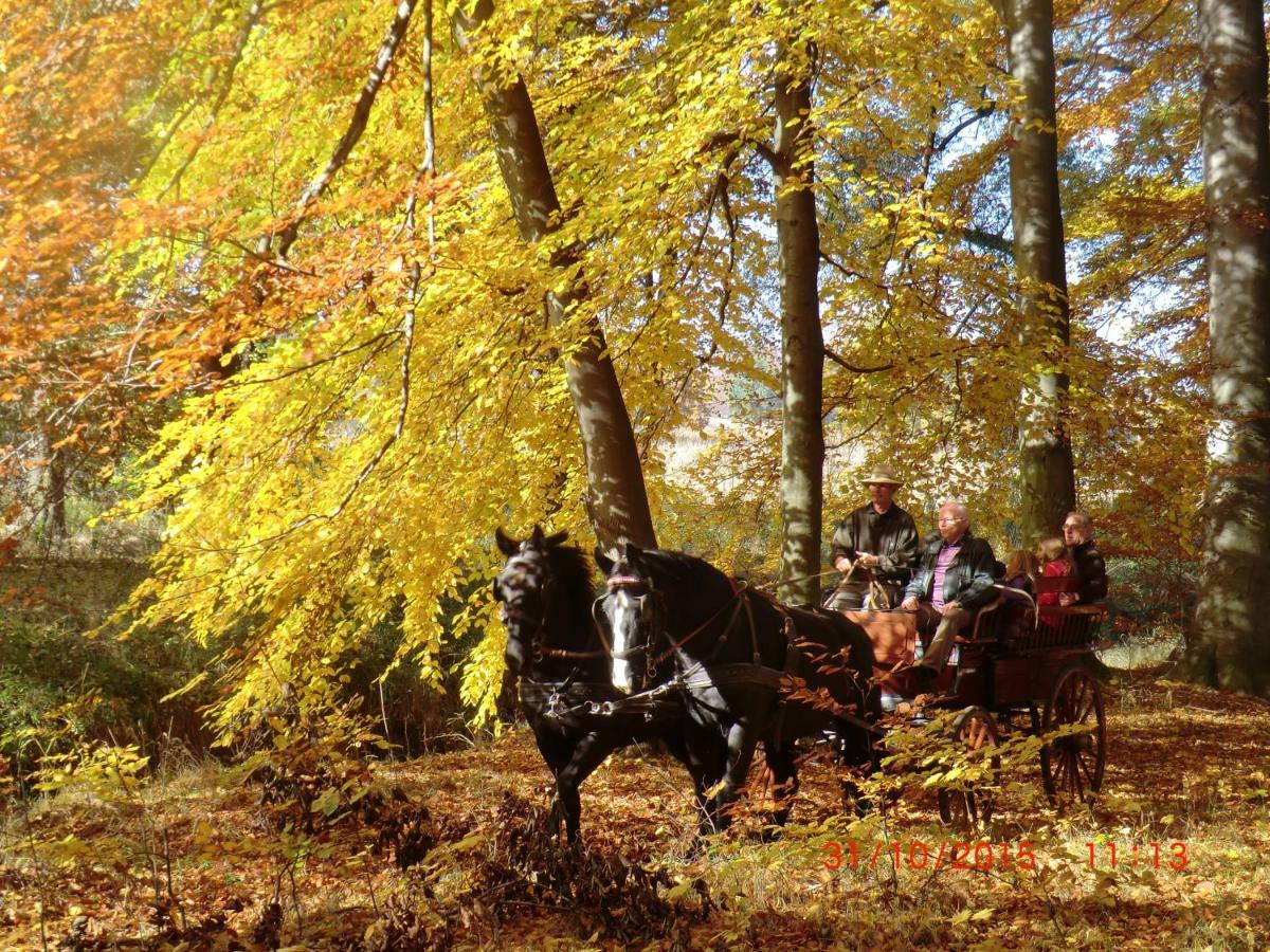Country Estate Agroturismo *