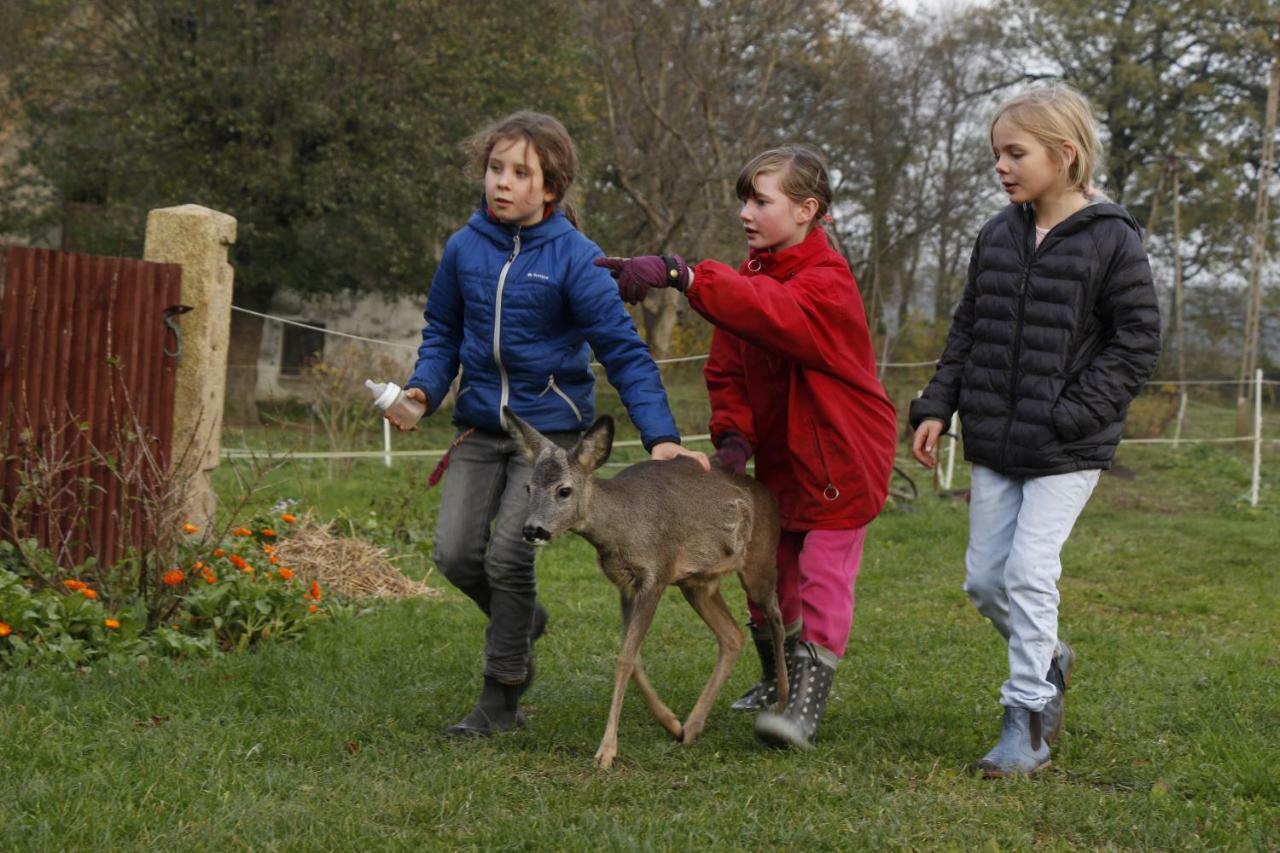 Country Estate Agroturismo Studniska