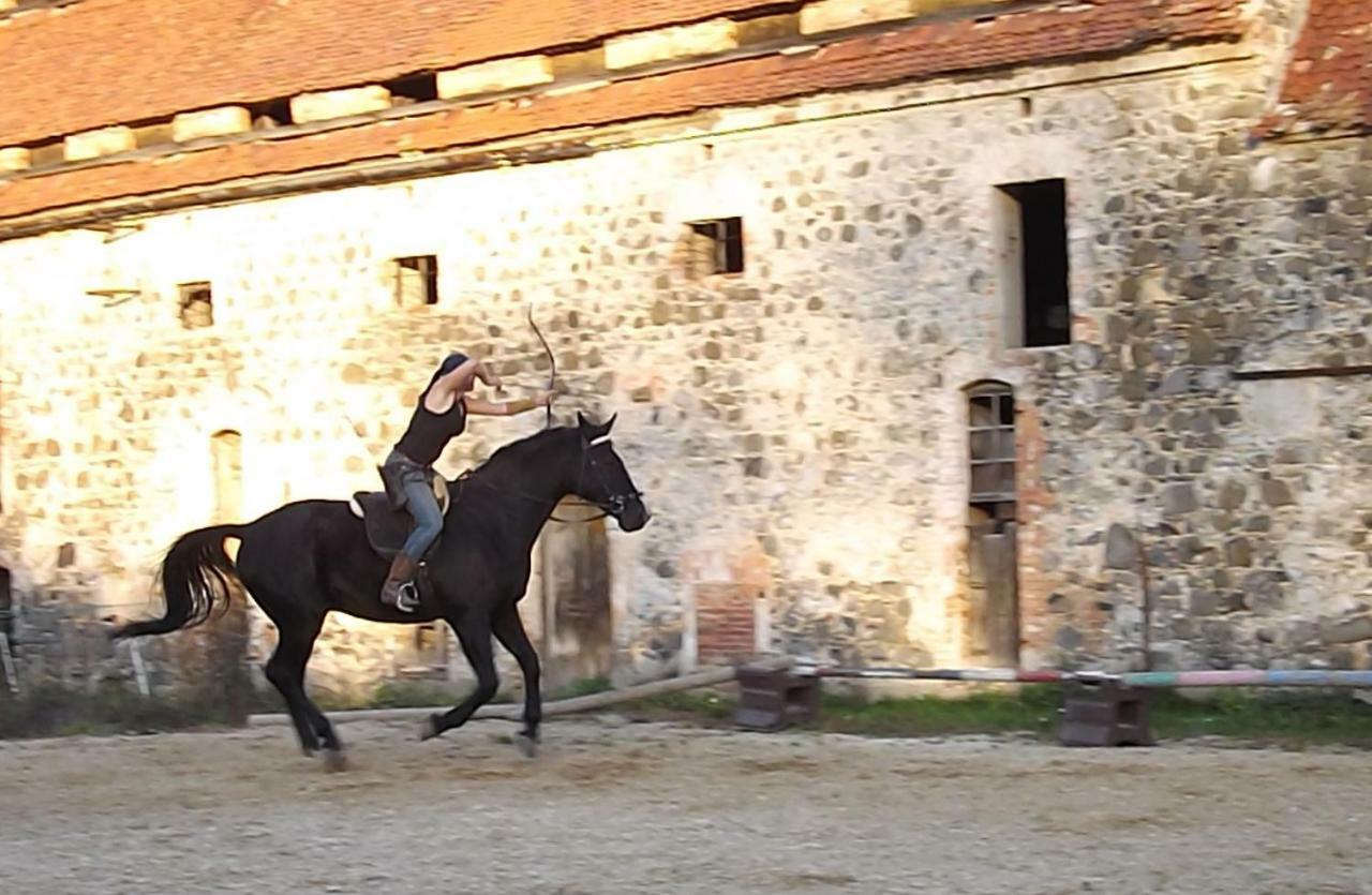Country Estate * Studniska