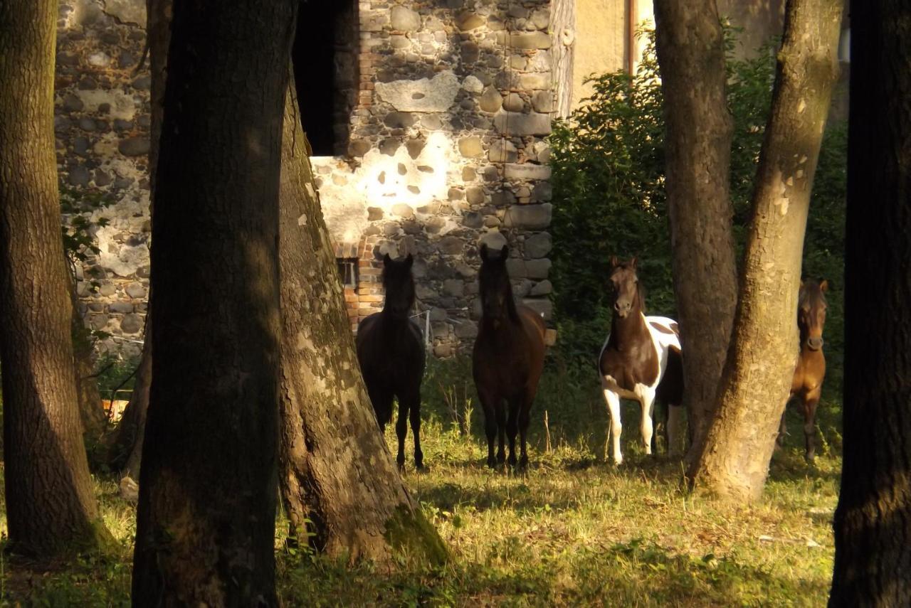 Country Estate Studniska