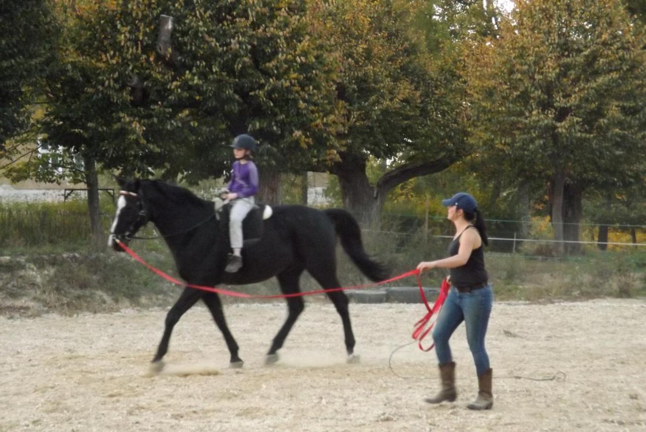 Country Estate Farm stay Studniska